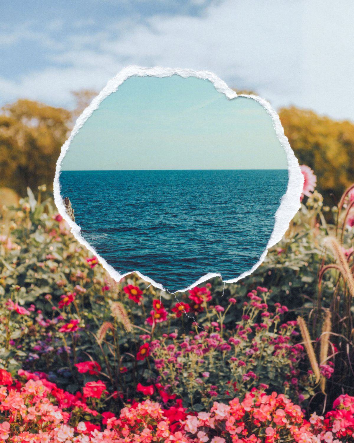 As (in)verdades que ninguém te contou sobre crescer